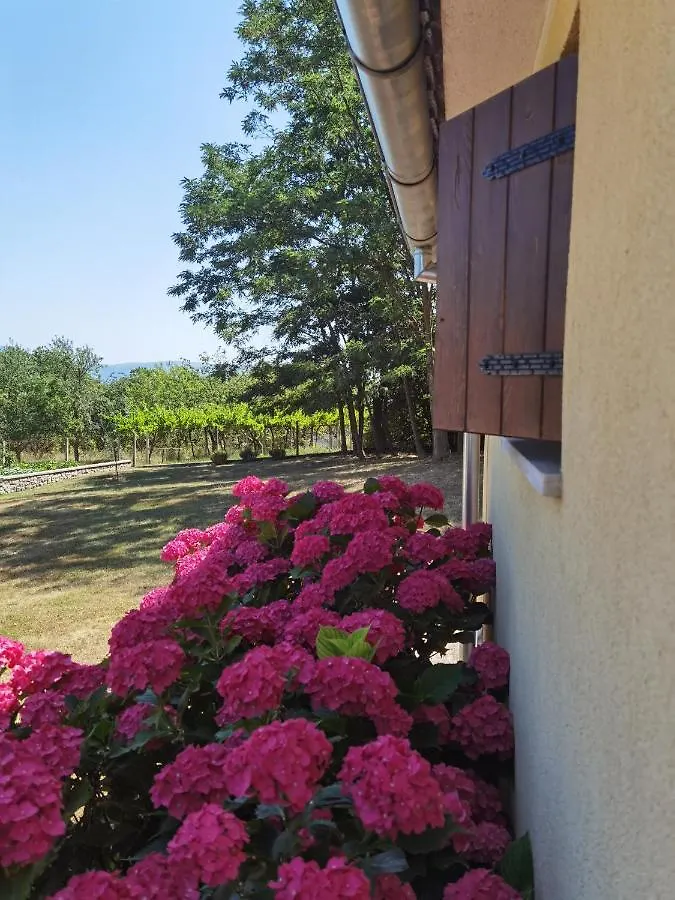 Apartment Luce Pićan Kroatië
