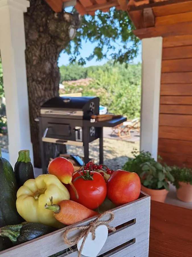 Apartment Luce Pićan 0*,  Κροατία